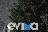 Κακοκαιρία Ελπίς: Πυκνή χιονόπτωση στην Εύβοια - Κάλυψε αυτοκίνητα και αυλές σπιτιών (Φωτογραφίες/Βίντεο)