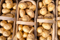 Πώς θα φυτέψετε πατάτες… εξπρές σε πλαστικά τελάρα