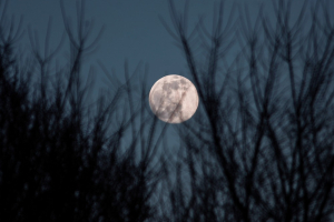 Πανσέληνος Ιανουαρίου: Φωτογραφίες από το ολόγιομο φεγγάρι