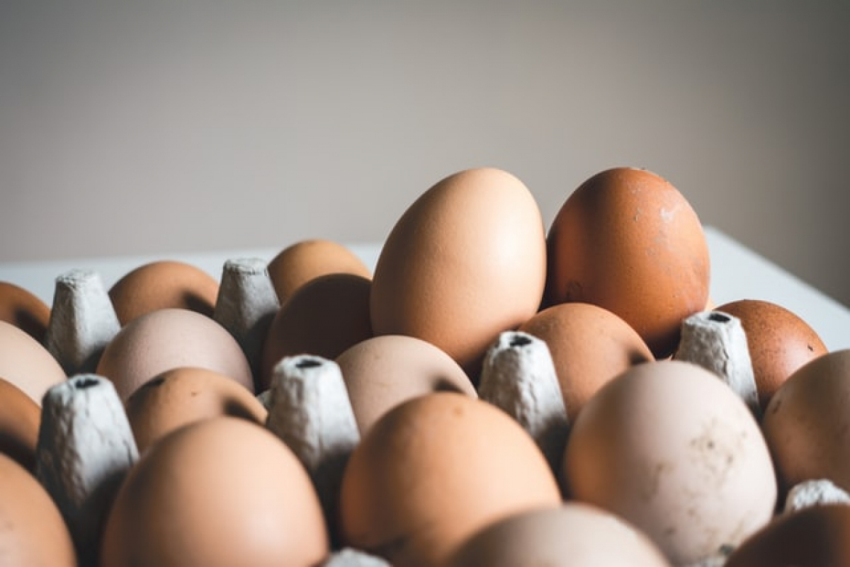 Ανακαλούν δήθεν βιολογικό κοτόπουλο και αυγά κρητικής εταιρίας