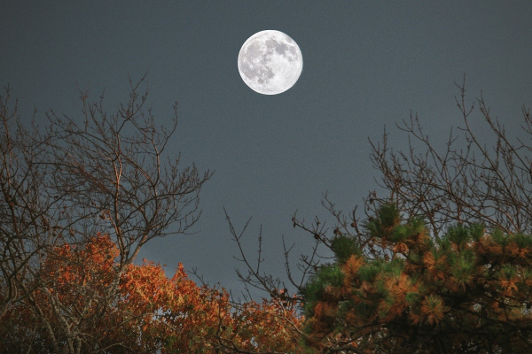 Πανσέληνος Οκτωβρίου 2022: Γιατί ονομάζεται «Φεγγάρι του Κυνηγού»