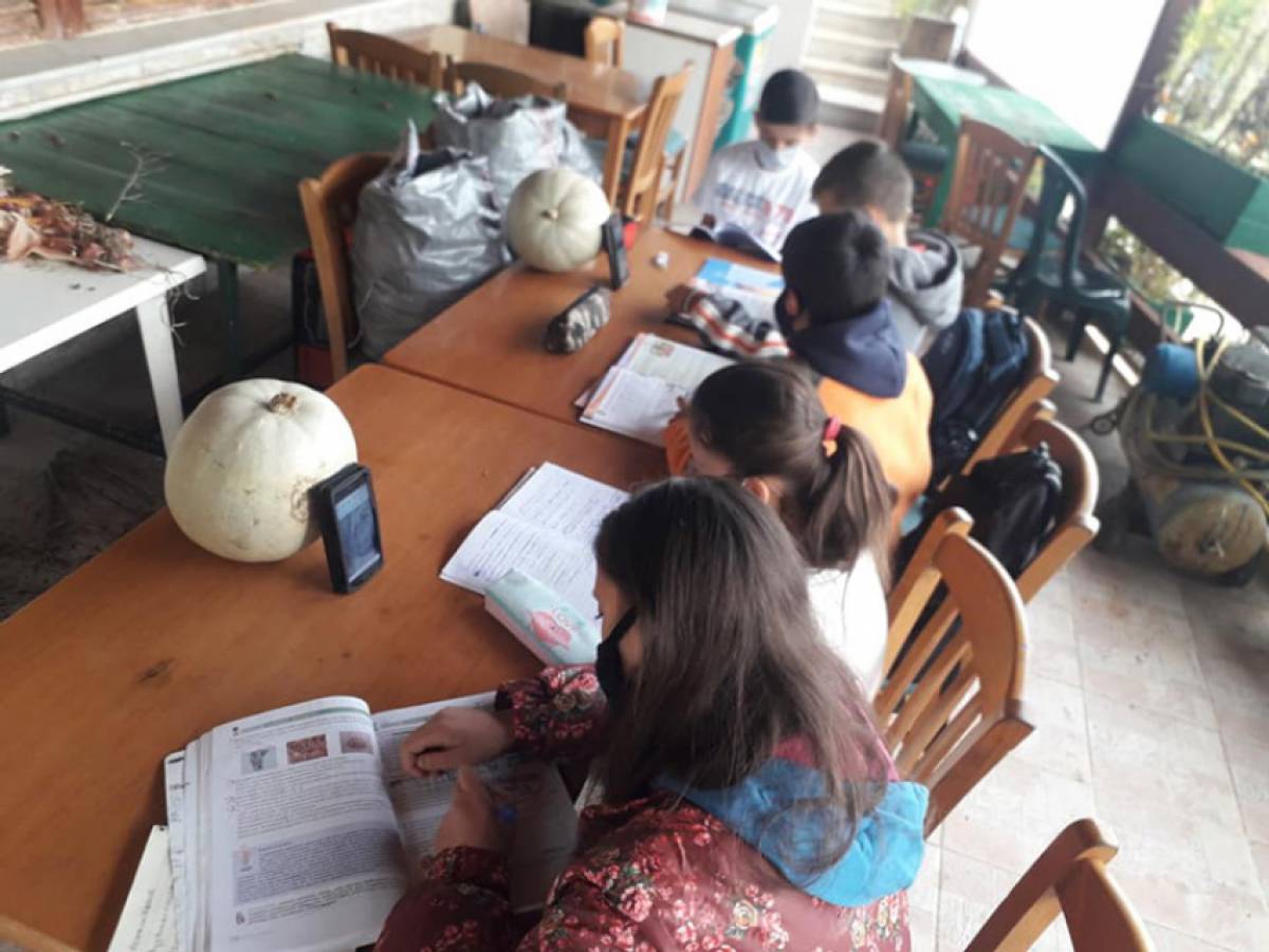 Παιδιά κάνουν τηλεκπαίδευση μέσω κινητού μέσα στο κρύο στην Ηλεία - Έντονη αντίδραση Τσίπρα