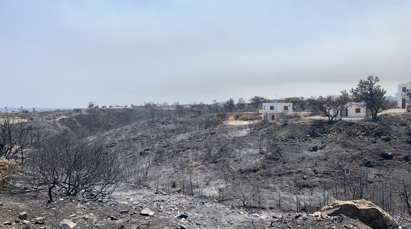 ΕΛΓΑ: Αποζημιώσεις αγροτών από τις φωτιές - Τα ποσά ανά καλλιέργειες