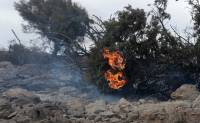 Υπό έλεγχο οι πυρκαγιές σε Καλύβια-Σαρωνίδα-Λαγονήσι