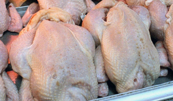 ΕΦΕΤ: Ανάκληση κατεψυγμένου κοτόπουλου για σαλμονέλα
