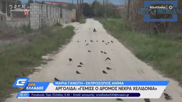 Γέμισαν οι ελληνικοί δρόμοι νεκρά χελιδόνια (Βίντεο)