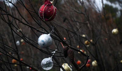 Βαρυμπόμπη: Χριστουγεννιάτικα στολίδια στα καμένα δέντρα