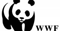 Τo WWF Ελλάς διοργανώνει ανοιχτό περίπατο στο κέντρο της Αθήνας