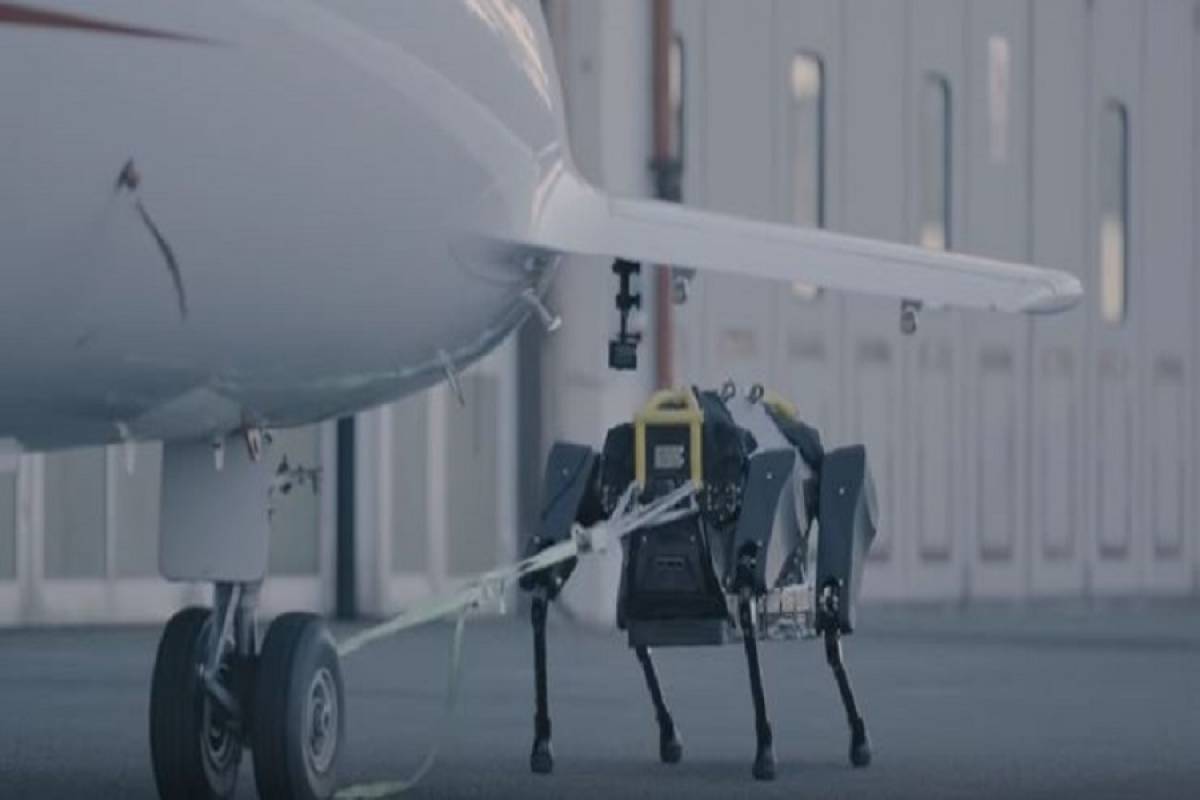 HyQReal, ο ρομποτικός σκύλος που σέρνει αεροπλάνο 3 τόνων