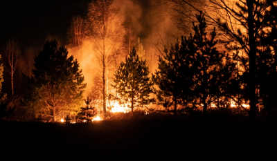 Η Φινλανδία αντιμέτωπη με τις χειρότερες δασικές φωτιές των τελευταίων 50 ετών
