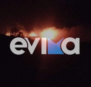 Εύβοια: Μεγάλη φωτιά στη Ράχη Αλιβερίου