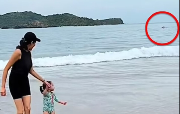 Τρομακτική στιγμή: Οικογένεια καταγράφει τυχαία θανατηφόρα επίθεση καρχαρία (Βίντεο)