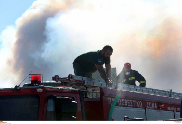 Θεσσαλονίκη: Φωτιά πίσω από το νεκροταφείο στον Εύοσμο