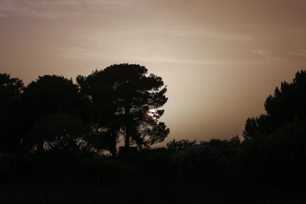 Αφρικανική σκόνη για πέντε μέρες: Δείτε το βίντεο του meteo