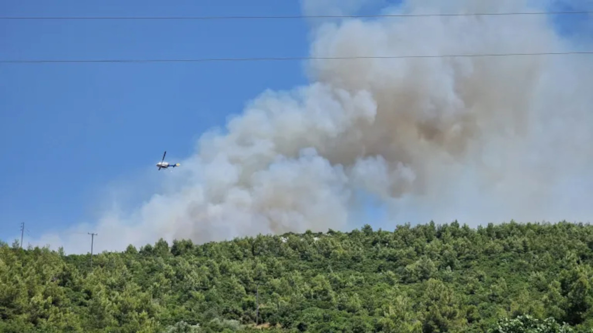 Φωτιά τώρα στο Μαρκόπουλο Ωρωπού - Ενισχύθηκαν οι δυνάμεις της Πυροσβεστικής