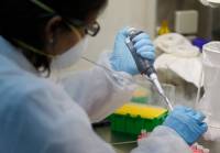 Κορονοϊός: Μονοκλωνικό αντίσωμα μπλοκάρει την μόλυνση των κυττάρων