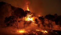 Φωτιά τώρα στην Εύβοια - Καίει δάσος με πεύκα