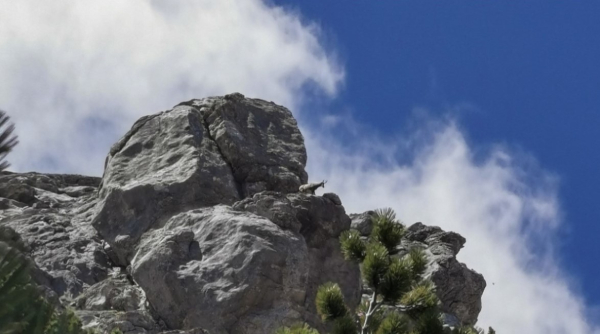 Τραγωδία στον Όλυμπο: Νεκρός ορειβάτης σε χαράδρα