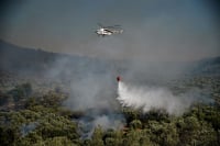 Φωτιά τώρα στη νότια Κέρκυρα - Τέθηκε γρήγορα υπό έλεγχο
