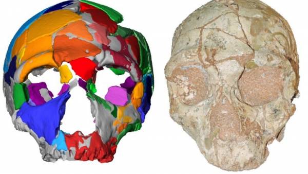 Κρανίο 210.000 ετών από την Ελλάδα, το αρχαιότερο δείγμα Homo Sapiens σε όλη την Ευρασία