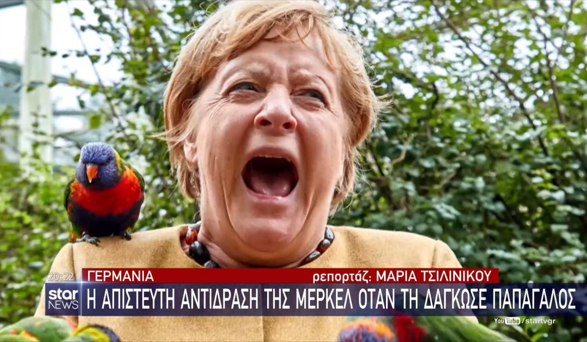 Το viral ατύχημα της Μέρκελ: Θέλησε να ταΐσει παπαγάλο και την δάγκωσε