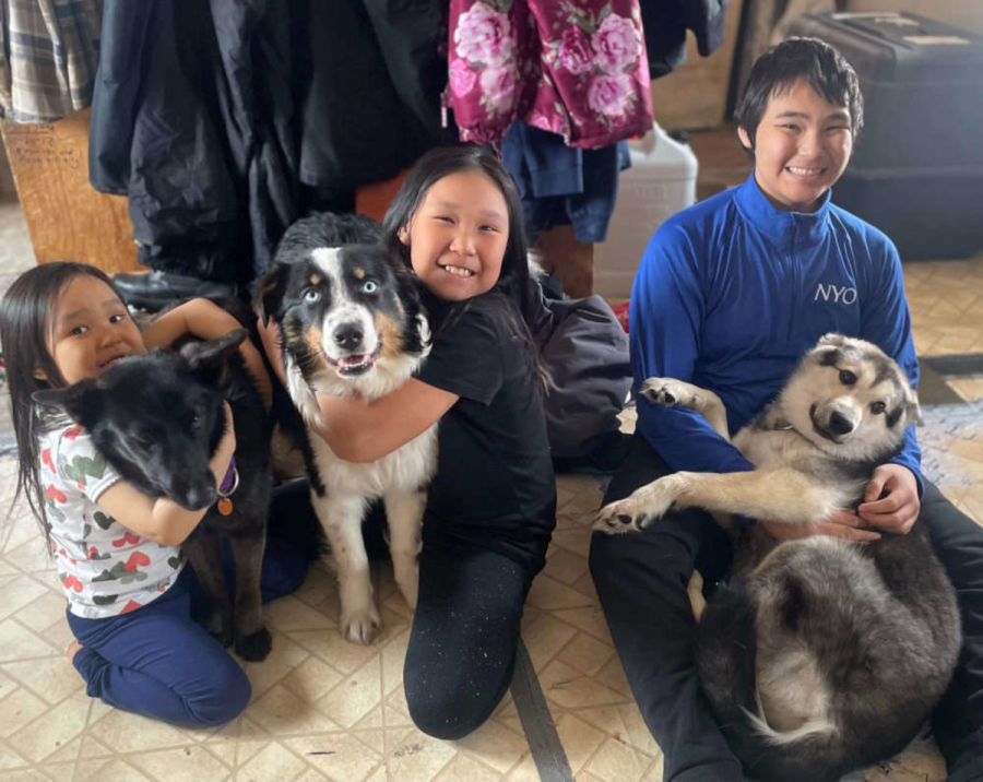 Αλάσκα: Απίθανος σκυλάκος επέστρεψε σπίτι του διανύοντας 241 χλμ. πάνω στον πάγο