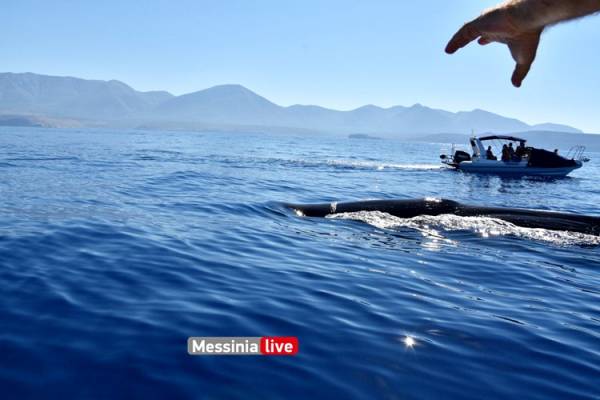 Μάνη: Η στιγμή που φάλαινα 20 μέτρων αναδύεται πλάι σε σκάφος στον Μέζαπο