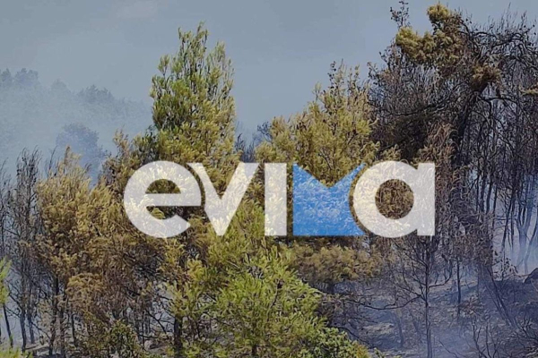 Φωτιά σε Λάρισα, Εύβοια, Νάξο: Τα νεότερα στοιχεία - 14 περιοχές σε πολύ υψηλό κίνδυνο την Κυριακή