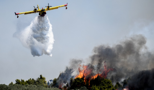 Μάχη με τις φλόγες: 42 δασικές πυρκαγιές ξέσπασαν το τελευταίο 24ωρο στη χώρα