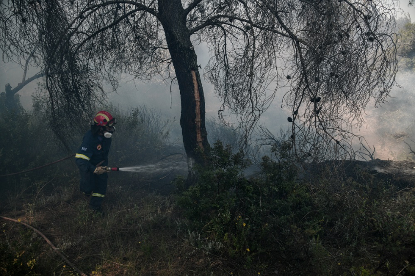 Φωτιά σε Κορινθία - Μέγαρα: Μάχη με τις αναζωπυρώσεις - Διάσπαρτες οι εστίες