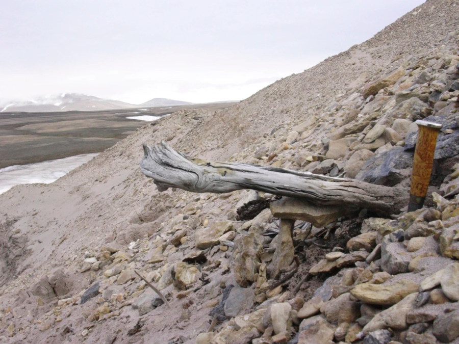 Το παλιότερο DNA του κόσμου ανακαλύφθηκε στην Γροιλανδία - Χρονολογείται πριν από 2 εκατ. χρόνια