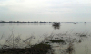 Έβρος: Σε ετοιμότητα για πλημμύρες - Στα όρια συναγερμού το Πέταλο Φερών