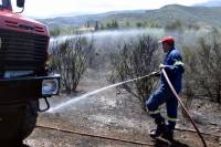 Ζάκυνθος: Υπό μερικό έλεγχο η φωτιά στο Καλαμάκι