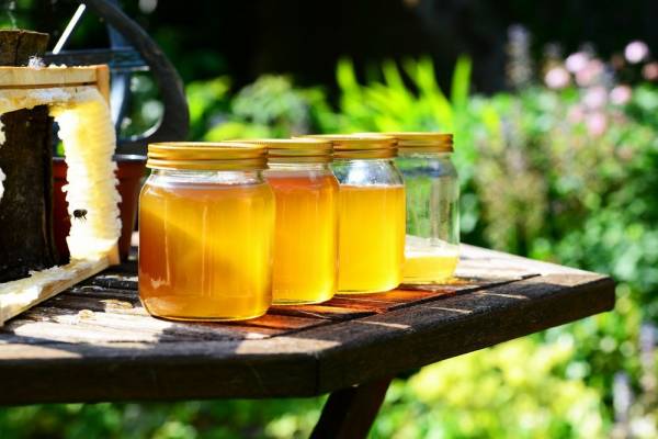 ΕΦΕΤ: Ανακαλεί 4 ακατάλληλα μέλια από την αγορά