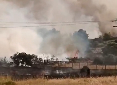Φωτιά τώρα στη Χαλκίδα - Κοντά σε σπίτια το μέτωπο (Βίντεο)