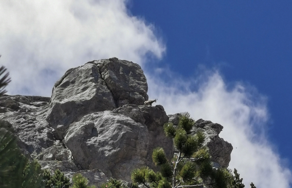 Όλυμπος: Αγνοείται 76χρονος ορειβάτης - Σε εξέλιξη επιχείρηση εντοπισμού του