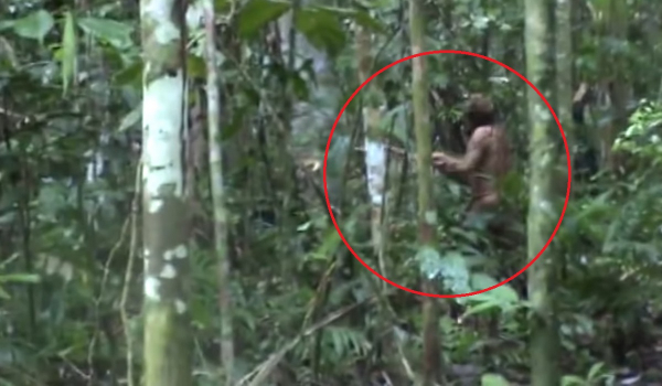 Πέθανε ο «Άνθρωπος της Τρύπας», ο τελευταίος μιας φυλής ιθαγενών στη Βραζιλία (Βίντεο)