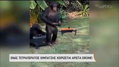 Χιμπατζής χειρίζεται drone και γίνεται viral