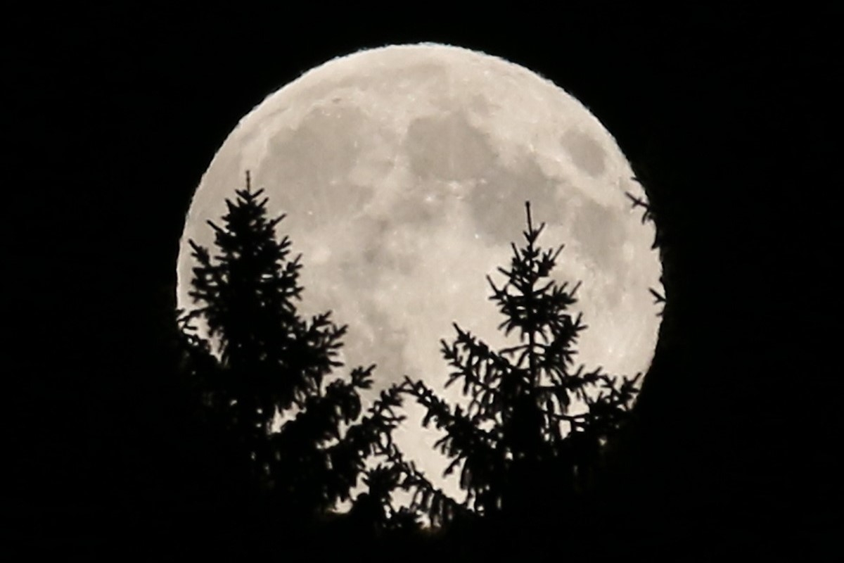 Πανσέληνος Νοεμβρίου 2023: Απόψε το «Φεγγάρι του Κάστορα» - Τι ώρα θα είναι μεγαλύτερο