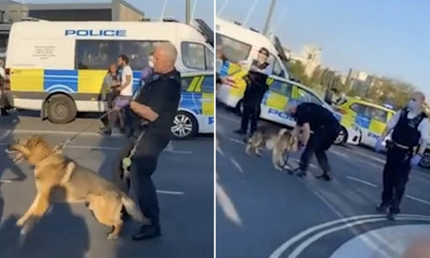 Αστυνομικός σκύλος δάγκωσε τον αστυνομικό - αφεντικό του
