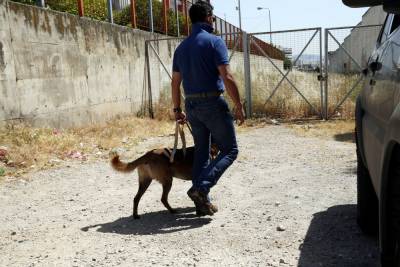 Η ειδική ομάδα σκύλων Κ9 για το «δράκο του Κάβου», το ιστορικό της υπόθεσης στην Κέρκυρα