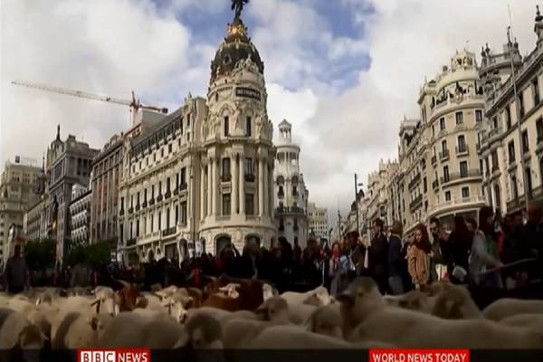 Χιλιάδες πρόβατα έκαναν πορεία στο κέντρο της Μαδρίτης