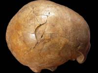 Ελληνίδες αποκάλυψαν βίαιο παλαιολιθικό φόνο που έγινε πριν 33.000 χρόνια
