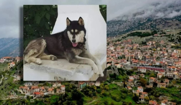 «Τον Όλιβερ δεν τον σκότωσαν σκυλιά»: Νέα παρέμβαση για το θρίλερ της Αράχωβας μετά το πόρισμα