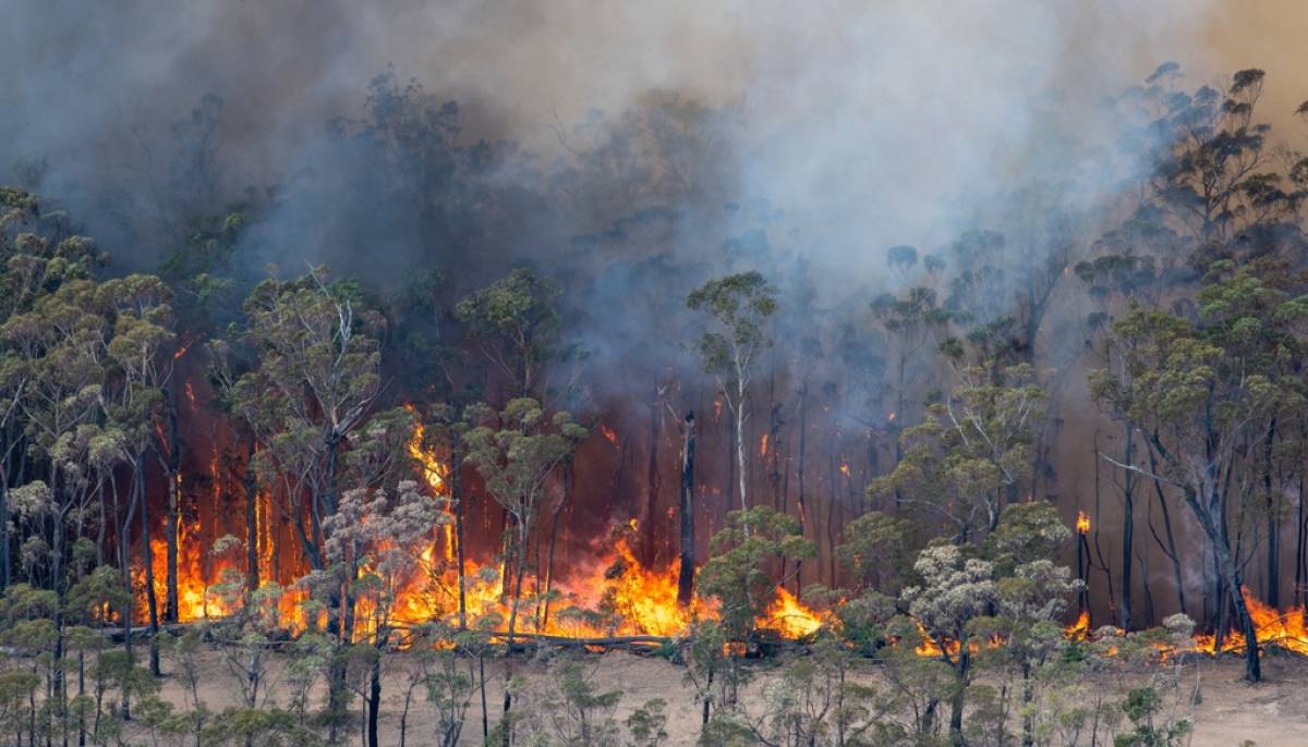 Αυστραλία: Υπό έλεγχο η μεγαλύτερη πυρκαγιά που μαίνεται στη χώρα