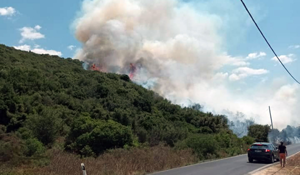Μεγάλη φωτιά στη Μεσσηνία - Μήνυμα για εκκένωση από Μεσοχώρι προς Πήδασο
