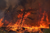 Φωτιά τώρα: Φλέγεται η Ρόδος, κάηκαν σπίτια - Μαίνεται το μέτωπο στην Κέρκυρα