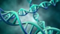 Κορονοϊός: Ο γενετικός «συνδυασμός» ασθενούς- ιού ευθύνεται για τη σοβαρότητα της νόσου
