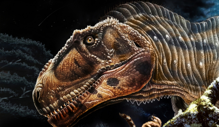 Αργεντινή: Ανακαλύφθηκε ο γιγάντιος Meraxes, δεινόσαυρος που μοιάζει με τον T.rex