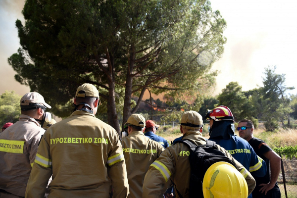 Χρυσοχοΐδης για φωτιά στην Αχαΐα: «Την περιορίσαμε στα χθεσινά της όρια»